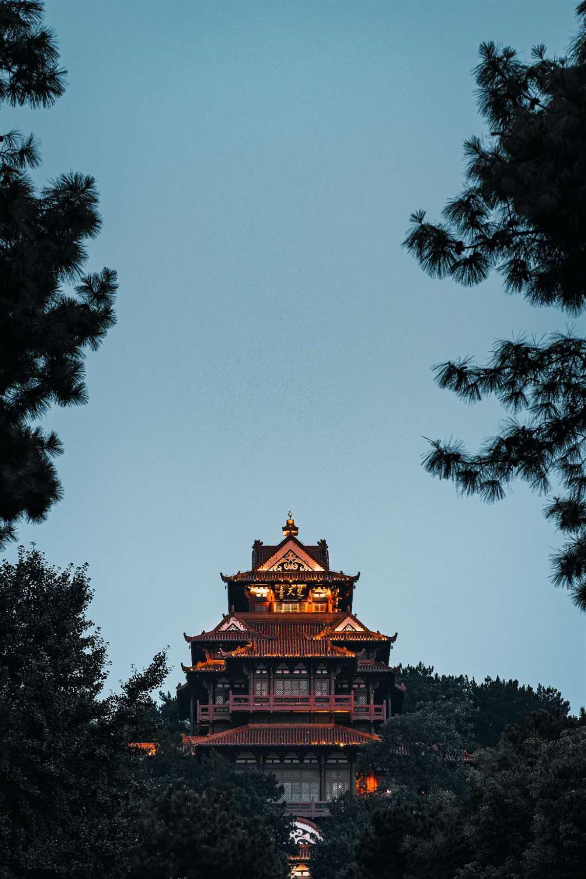 最大赌场网址