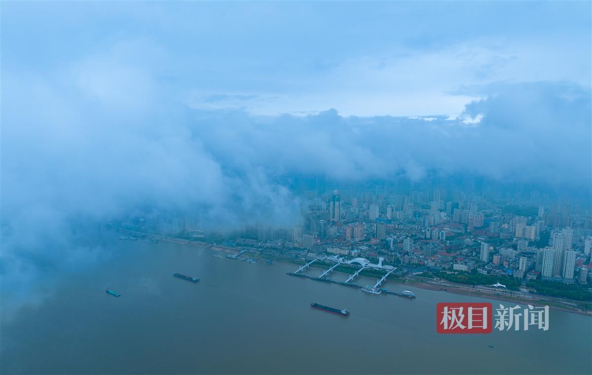 果博官网